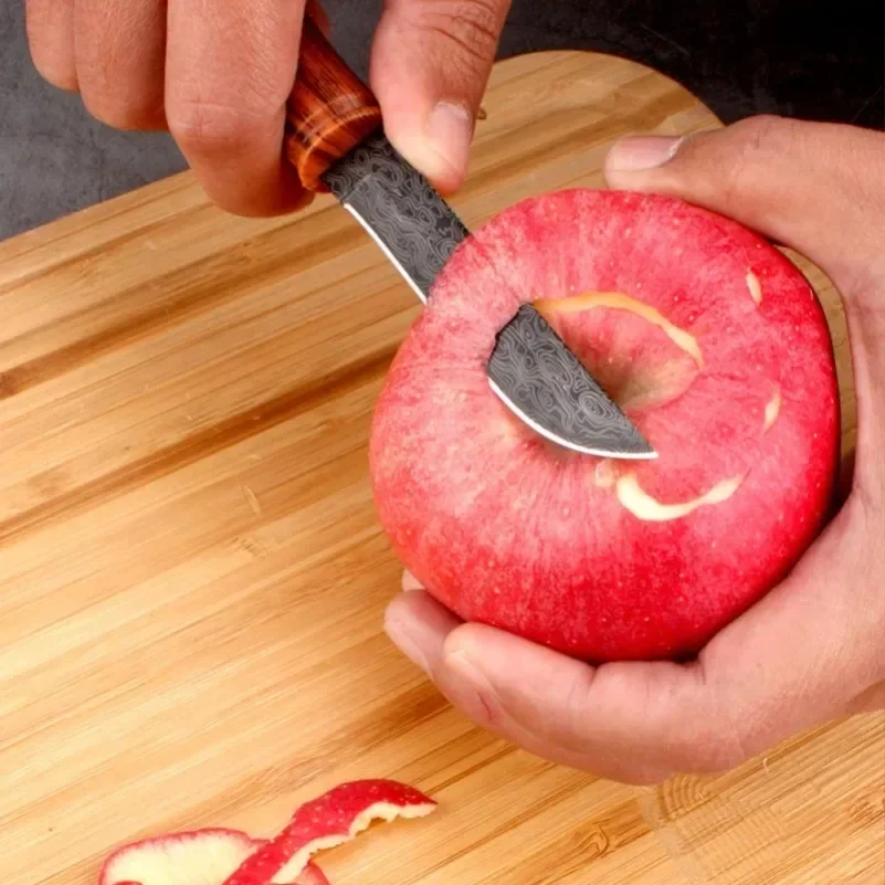 Utility Knife Slice Meat Fruit - Camping Cooking Multi Tool recensione e prezzo