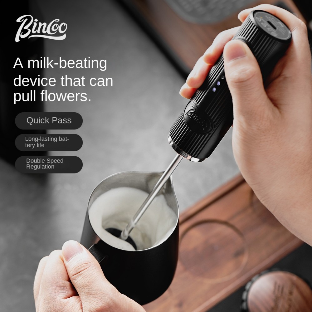 Wireless Electric Mini Milk Fr - Pocket Coffee Maker recensione e prezzo