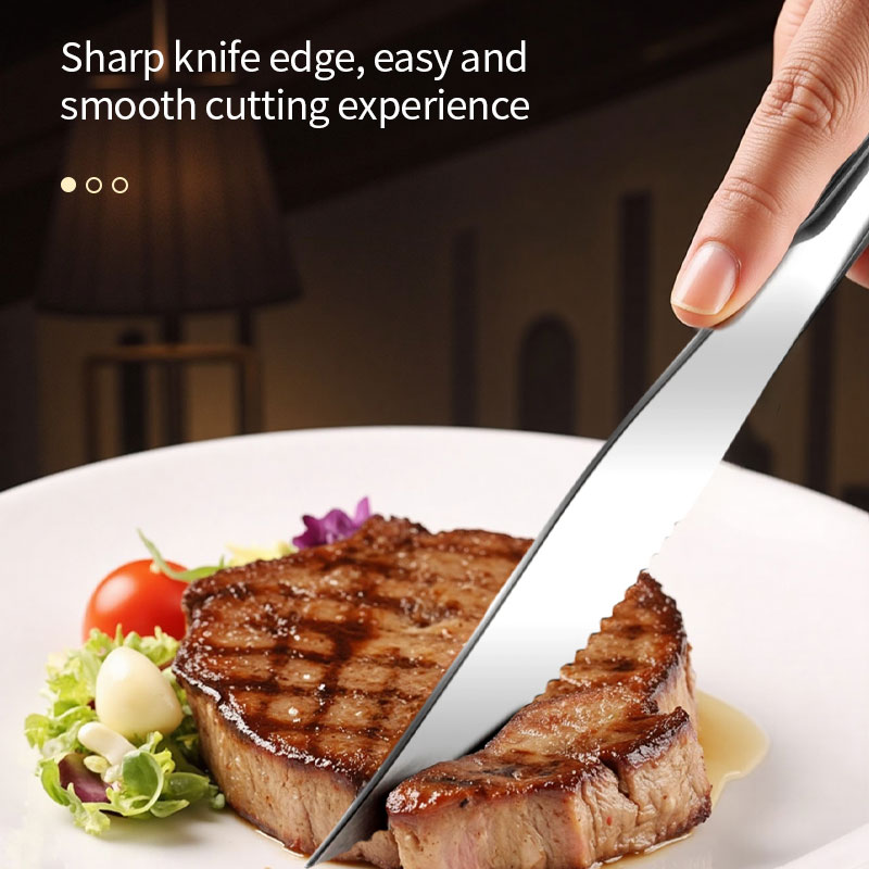 High-End Stainless Steel Trave - Camping Cooking Knife Set recensione e prezzo